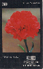 72898  DF 06/99 A Linguagem das Flores ( Cravo Vermelho ) Tir. 10.000 ICE 30C ( CHEIO )