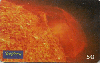 0241 SP 06/99 Sistema Solar(SOL) Tir.285.000 Interp.50c