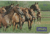 0231 SP 06/99 Cavalos no Pasto Tir.200.000 Interp.50C