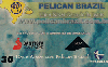 17698  PI  10/99  Pelican Brasil  Tir. 30.000 CSM 30C