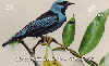 18312  CE  03/99  Aves da Fauna Cearense ( Verdelinho )  Tir. 155.000 CSM 20C