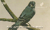 18314  CE  03/99  Aves da Fauna Cearense ( Patativa ) Tir. 155.000 CSM 20C