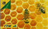 26917  CTBC  08/07  As abelhas e a sade ( 01/01 ) Tir. 15.500 ICE 20C