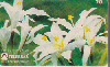 37331  TB  04/95  Flores do Cerrado - Canela de Ema ABNC 20C ( L1 - 01 - 05/95 )