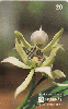 37434  TB  07/95  Orqudeas - Epidendrum Fragrans Interp. 20C ( 02 - 07/95 ) C/N *