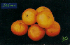 0865 SP 07/00 Alimentos Frutas (Tangerina ) Tir.500.000 ICE 30C