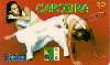 1286  SP  01/01 Capoeira (1/7) Tir. 20.700  ICE. 30C