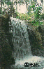 18928  CE  11/97  Natureza Viva ( Cachoeira do Caldas ) Tir. 10.000 Interp. 20C