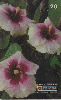 0356  RJ  01/99  Hibiscus Híbridos  (20/20) Tir.100.000 ABNC 20C