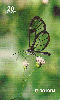 0827  RJ  03/99  Momentos da Natureza NAT B1  Tir.180.000 CSM 20C