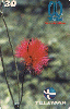 00144  MG  05/00  Dicas de Minas - Flor do Cerrado  Tir. 500.000 Int. 30C