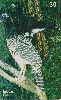 01772  PR  08/01  Parque das Aves (06/13) Tir. 300.000 ICE 30C