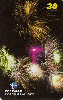 00274  MG  03/01  Fogos de Artifício (04/06)  Tir.200.000 CSM 30C