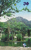 00613  MG  04/01  Parque das Mangabeiras  MAN I1  Tir.100.000 CSM 30C