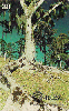 03301  SC  07/99  Preserve a Natureza (Árvore)  Tir. 100.000 ICE 30C
