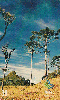 03454  SC  07/00  Região Serrana - SC  Tir. 200.000 ICE 30C