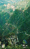03455  SC  08/00  Serra do Rio do Rastro  Tir. 200.000 ICE 30C