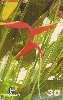 06161  PE  11/99  Flores Tropicais ( 05/05 ) Tir. 50.000 Interp. 30C