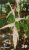 06365  PE  07/00  Heliconia Chartacea  ( 05/06 )  Tir. 100.000 CSM 30C