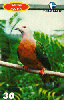 06508  PE  03/01  Aves ( Pomba - de Fruta ) ( 08/10 )  Tir. 150.000 CSM 30C