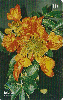 08840  RO  09/01  Flores - Flamboyan  Tir. 70.000 ICE 30C