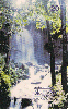 09542  MT  09/98  Águas ( Cachoeira da Salgadeira ) Tir. 100.000 CSM 20C