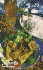 09554  MT  10/98  Culinária ( Ventrecha de Pacu ) Tir. 50.000 CSM 20C