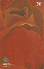 11720  MS  12/01  Artistas Regionais Flores ( 04/06 ) Tir. 150.000 ICE 30C