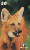12716  RBA  03/01  Grandes Animais da Natureza ( 06/10 )  Carimbo AL