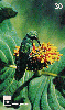 14153  GO  08/99  Cerrado de Goiás e Tocantins ( 01/12 ) Tir. 200.000 ICE 30C