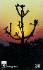 14158  GO  09/99  Cerrado de Goiás e Tocantins ( 02/12 ) Tir. 200.000 ICE 30C