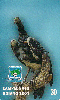 14378  GO  01/01  Grêmio Esportivo Inhumense IH2 D1  Tir. 50.000 ICE 30C