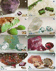 15191  GO   10/03  Gemas Brasileiras ( 8 cartões )  Tir. 62.500 ICE  20/30C