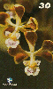 16160  BA  09/99  Orquídeas Nativas da Bahia ( 10/10 ) Tir. 100.000 Interp. 30C