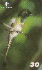 16235  BA  12/99  Aves da Bahia ( 19/20 )  Tir. 80.000 Interp. 30C