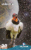 16844  BA  10/01  Fauna Brasileira em Extinção ( 04/10 ) Tir. 126.000 ABNC 30C