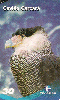 16850  BA  10/01  Fauna Brasileira em Extinção ( 10/10 ) Tir. 126.000 ABNC 30C