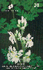 18275  CE  10/98  Pentecoste Moringa  Tir. 120.000 CSM 20C