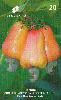 18283  CE  12/98  Clone CCP 1001  Tir. 80.000 CSM 20C