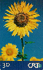 19660  CRT  10/99  Início da Primavera  Tir. 200.000 CSM 30C