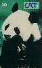 21142  CRT  08/99  Panda Gigante  Tir. 1.000 CMB 20C  ( CHEIO )