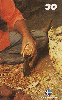 21882  MA  09/01  Série Babaçú  ( 07/10 ) Tir. 130.000 ABNC 30C
