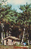 22239  AP  07/99  Arquipélago do Bailique I  Tir. 12.525  ABNC 30C