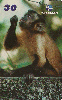 22299  AP  05/00  Macaco Prego  Tir. 20.000 ABNC 30C
