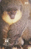 22659  PA  12/98  Primatas em Extinção ( Macaco Zog zog ) Tir. 150.000 CSM 20C