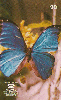 22675  PA  03/99  Borboletas em Extinção ( Morpho menelaus ) Tir. 150.000 ABNC 20C