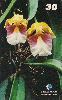 22701  PA  06/99  Orquídeas - Pará  I2  ( 04/11 )  Tir. 50.000 ABNC 30C