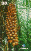 22968  PA  02/01  Série Frutas  ( 02/12 ) Tir. 120.000 ABNC 30C