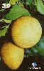 22969  PA  02/01  Série Frutas  ( 03/12 ) Tir. 120.000 ABNC 30C
