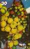 22976  PA  02/01  Série Frutas  ( 10/12 ) Tir. 120.000 ABNC 30C